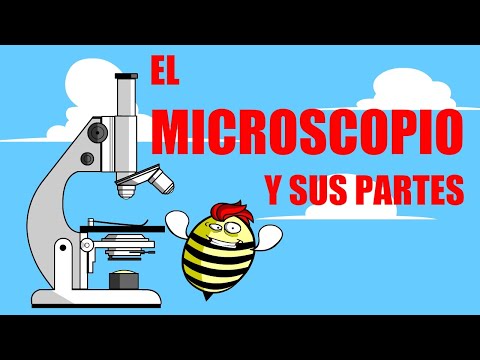Partes del microscopio y su utilidad: una guía completa.