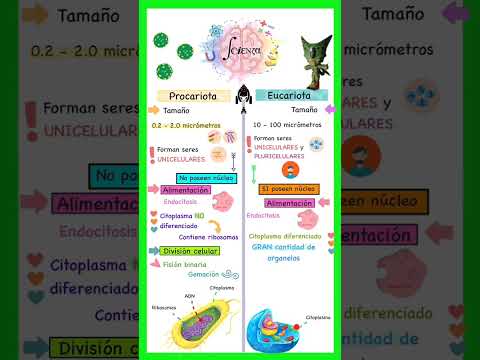 Organismos que integran a los procariotas y eucariotas: una comparativa.