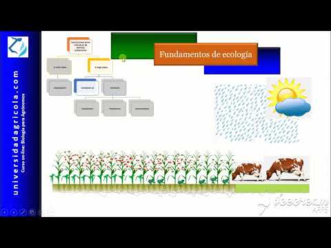 Fundamentos que antecedieron a la ecología: una mirada retrospectiva