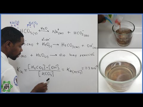 La ecuación de disociación del bicarbonato de sodio en agua.