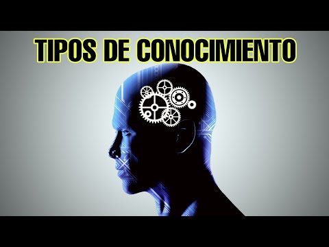 Características de la pequeña ciencia: descubre sus atributos singulares.