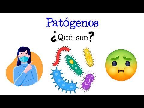 ¿Cuál es el sistema que detecta y elimina microorganismos patógenos?