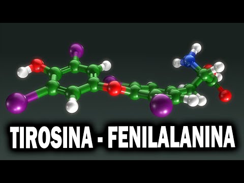 La estructura química de la fenilalanina: un análisis detallado.