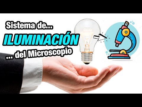 Sistema óptico e iluminación del microscopio fotónico compuesto: una revisión.