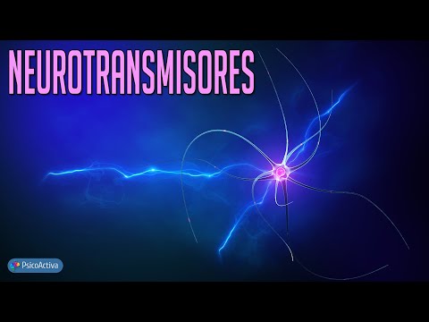 Tabla de neurotransmisores y funciones: una guía completa para entenderlos.