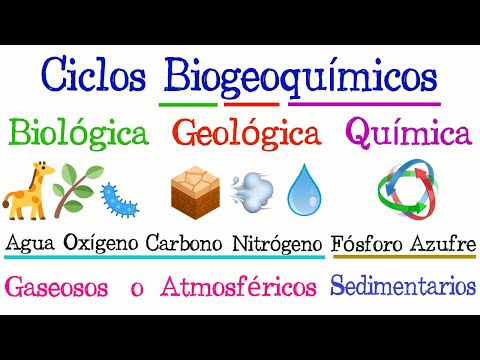 Algunas reacciones del N₂, O₂ y CO₂ en ciclos biogeoquímicos.