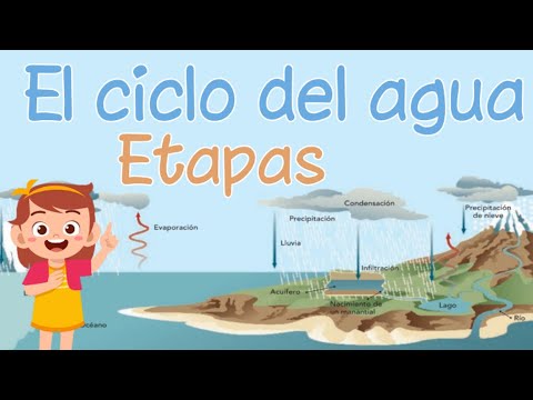 ¿Qué es la fusión en el ciclo del agua?