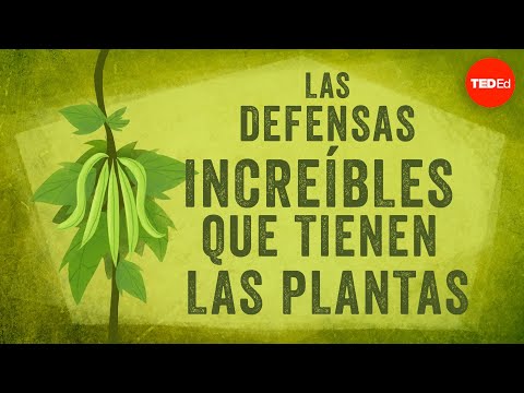 Los mecanismos de defensa de las plantas: una visión detallada.