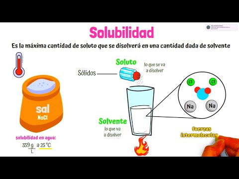 ¿Qué tipo de propiedad es la solubilidad?