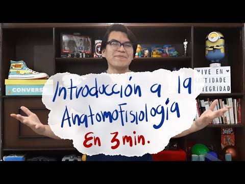 Cuál es la diferencia entre anatomía y fisiología: un análisis breve