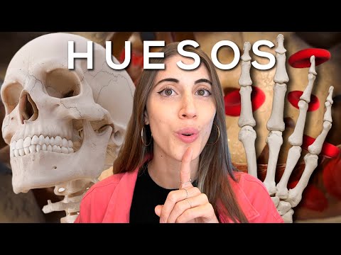 El componente fundamental de los huesos: una pieza esencial.