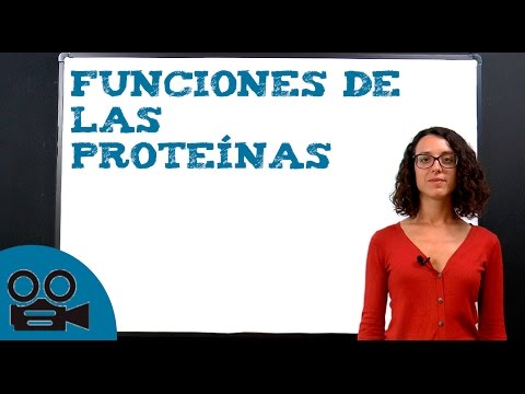 Ejemplos de proteínas estructurales: una mirada a su importancia