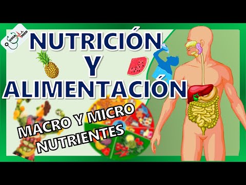 Cuáles son las formas de nutrición de los organismos: un análisis breve