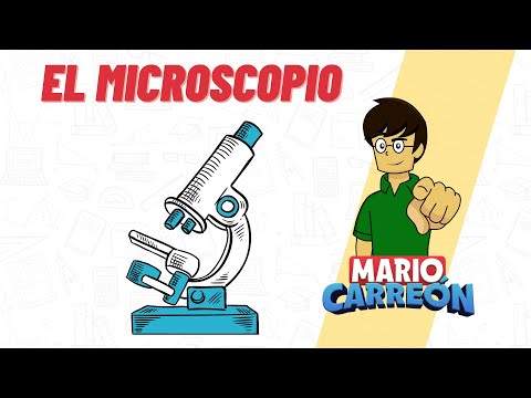 Quién inventó el microscopio óptico y su importancia científica